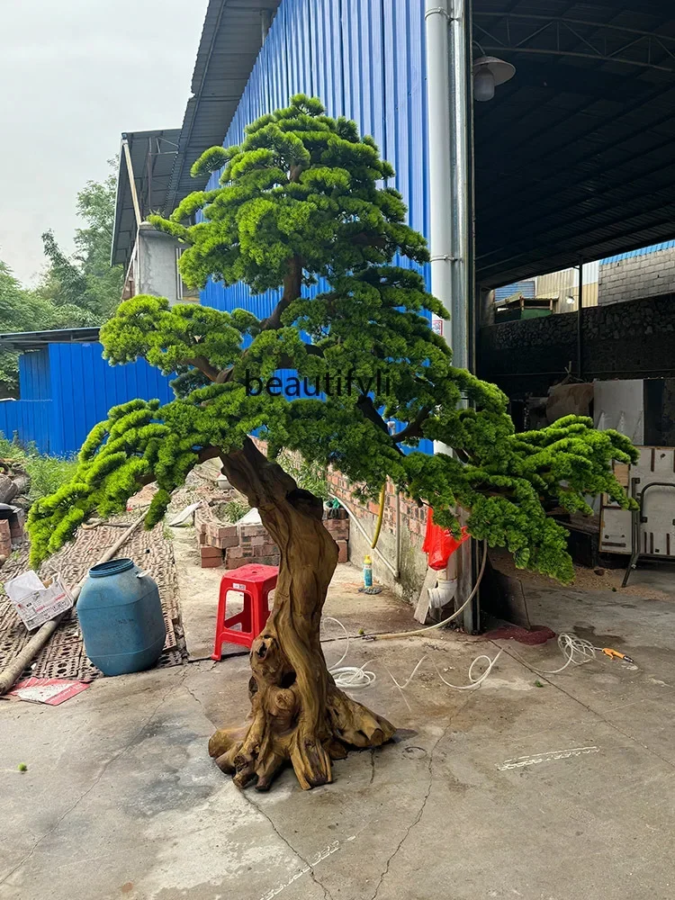 Artificial Welcome Pine Garden Pine Indoor Artificial Tree Hotel Mall Root Carving DecorationHY
Artificial Welcome Pine Garden Pine Indoor Artificial Tree Hotel Mall Root Carving DecorationHY