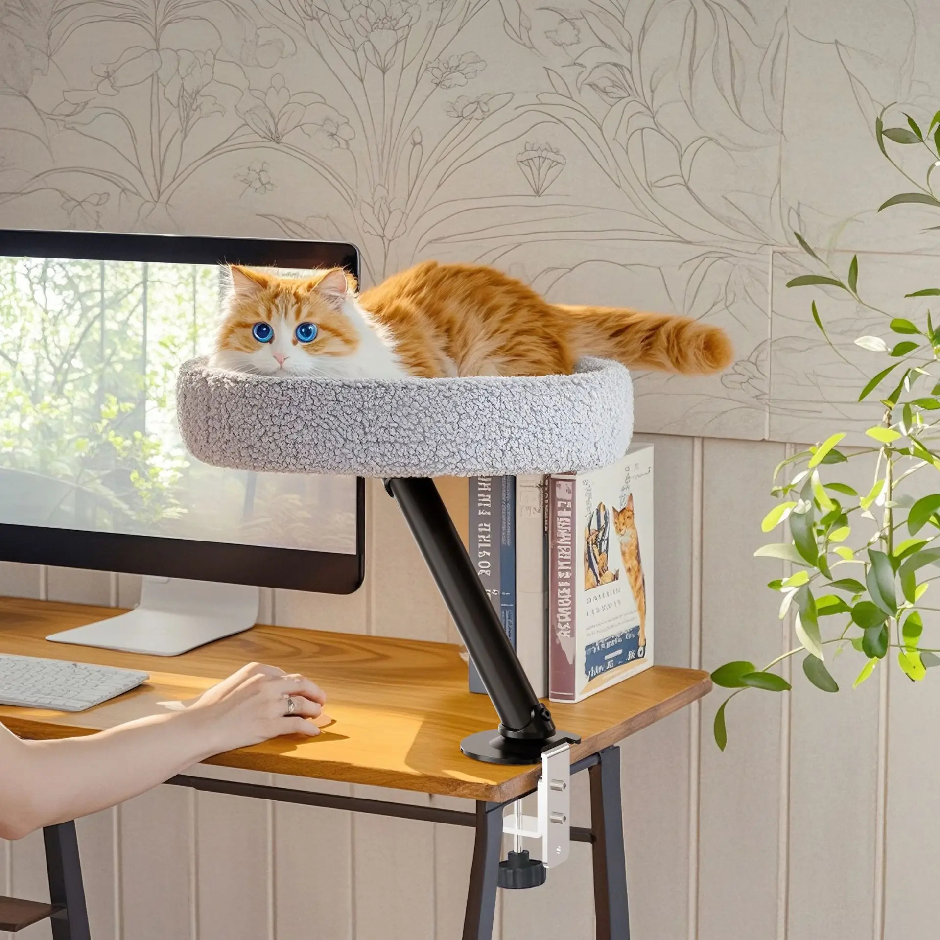 Adjustable Floating Cat Bed Cave Office Desk Cat Tree Removable Hand Washable Cover (Fiber Material) Solid Pattern Carton Packed
Adjustable Floating Cat Bed Cave Office Desk Cat Tree Removable Hand Washable Cover (Fiber Material) Solid Pattern Carton Packed