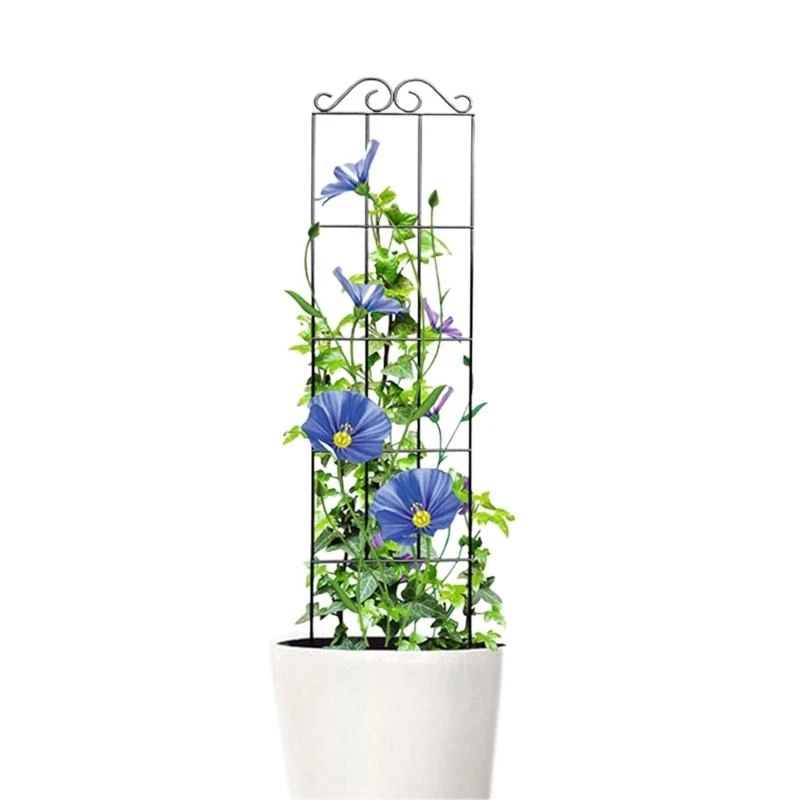 R1WA Plant Stake Stem Support Trellis Rack Climbing Bracket Garden Vegetable Cucumber
R1WA Plant Stake Stem Support Trellis Rack Climbing Bracket Garden Vegetable Cucumber