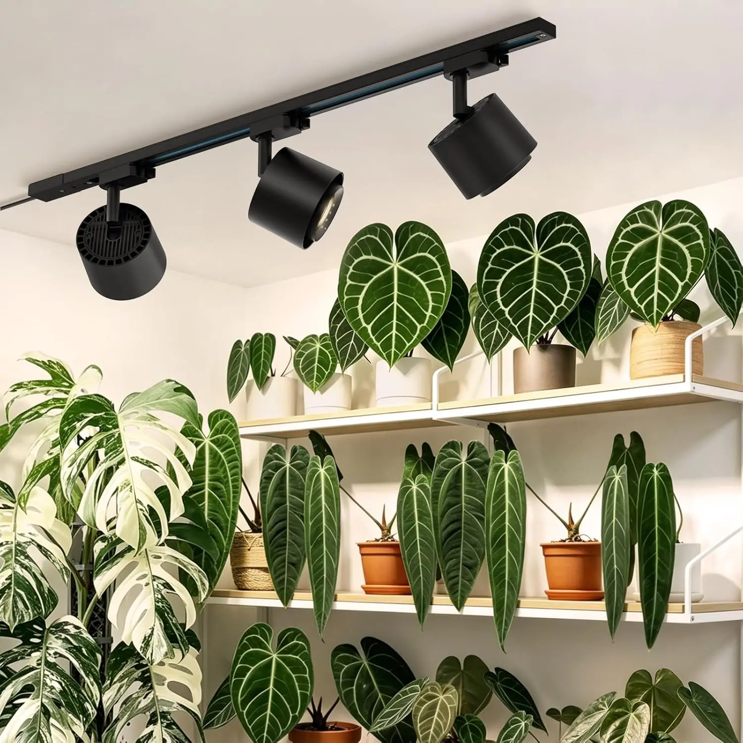 TR40c Track Grow Light for Indoor Growing 3 x 40W 15 60 Adjustable Beam Angle 4000K Ceiling Mount Full Spectrum Grow Lamp LED
TR40c Track Grow Light for Indoor Growing 3 x 40W 15 60 Adjustable Beam Angle 4000K Ceiling Mount Full Spectrum Grow Lamp LED