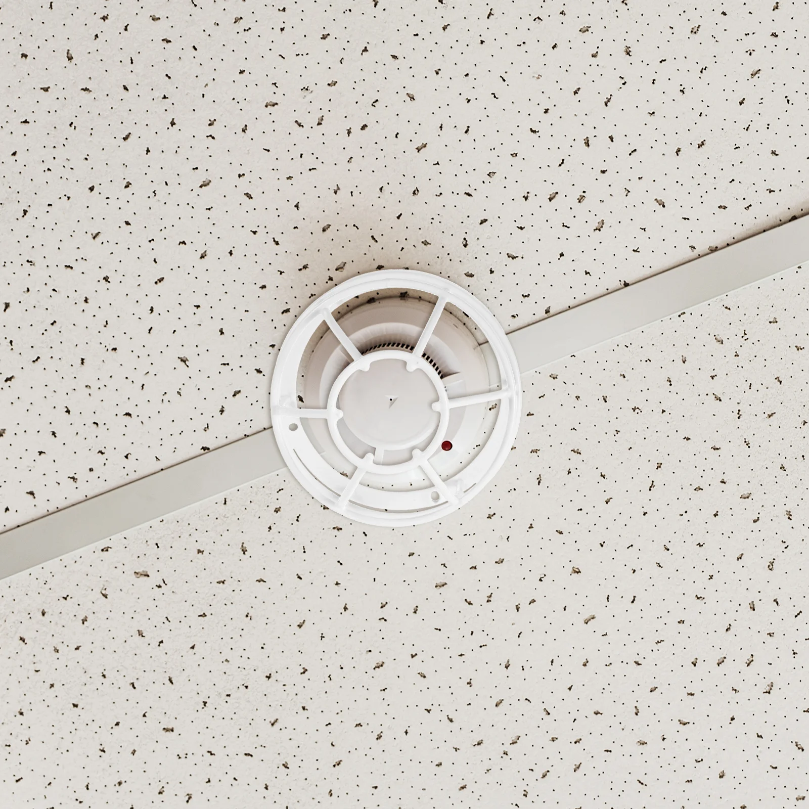 Signal Lamp Shade Frame Sturdy Stainless Steel Explosion-Proof Bulb Guard Safety Lamp Cage Wire Lampshade Holder for Workshop
Signal Lamp Shade Frame Sturdy Stainless Steel Explosion-Proof Bulb Guard Safety Lamp Cage Wire Lampshade Holder for Workshop