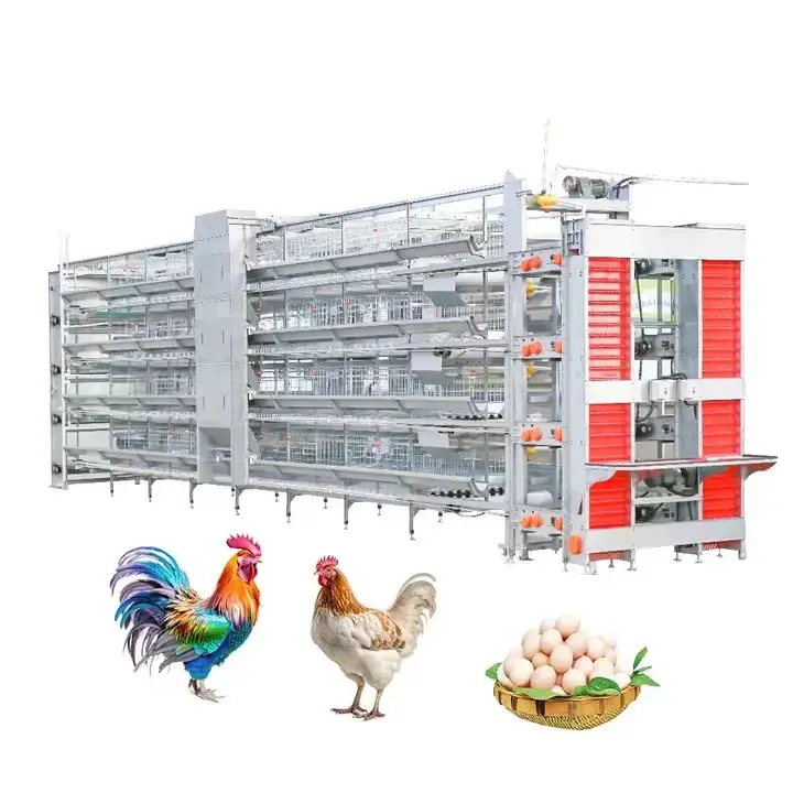 GREAT FARM Hot Sale Animal Cage Automatic Cage Layer Poultry Farming Cage Cheap Price Large Chicken House
GREAT FARM Hot Sale Animal Cage Automatic Cage Layer Poultry Farming Cage Cheap Price Large Chicken House