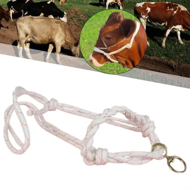 M5TC Adjustable Cattle Cow Halter Leading Rope Comfortable Cow Horse Donkey Halter for Farm And Show Use
M5TC Adjustable Cattle Cow Halter Leading Rope Comfortable Cow Horse Donkey Halter for Farm And Show Use