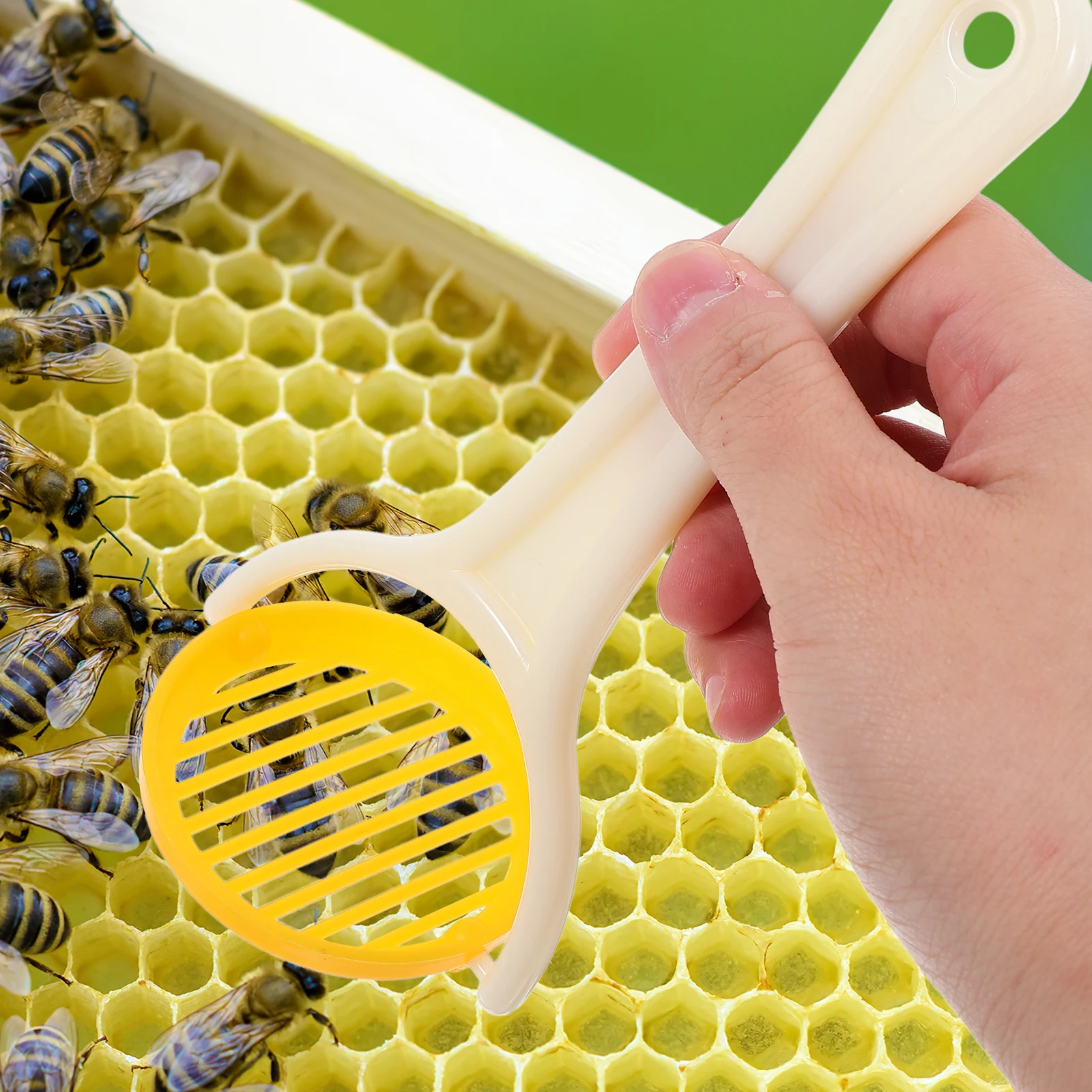 Foldable Queen Marking Catcher Plastic Beekeeping Supplies Foldable Bee Queen Marker Cage Marker Efficient
Foldable Queen Marking Catcher Plastic Beekeeping Supplies Foldable Bee Queen Marker Cage Marker Efficient