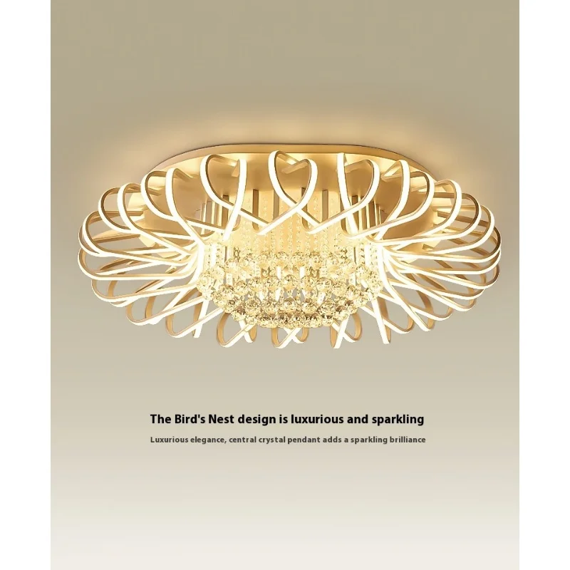 Creative Bird's Nest Lighting Fixtures Living Room Simple, Modern, and Atmospheric Bedroom LED Ceiling Light
Creative Bird's Nest Lighting Fixtures Living Room Simple, Modern, and Atmospheric Bedroom LED Ceiling Light