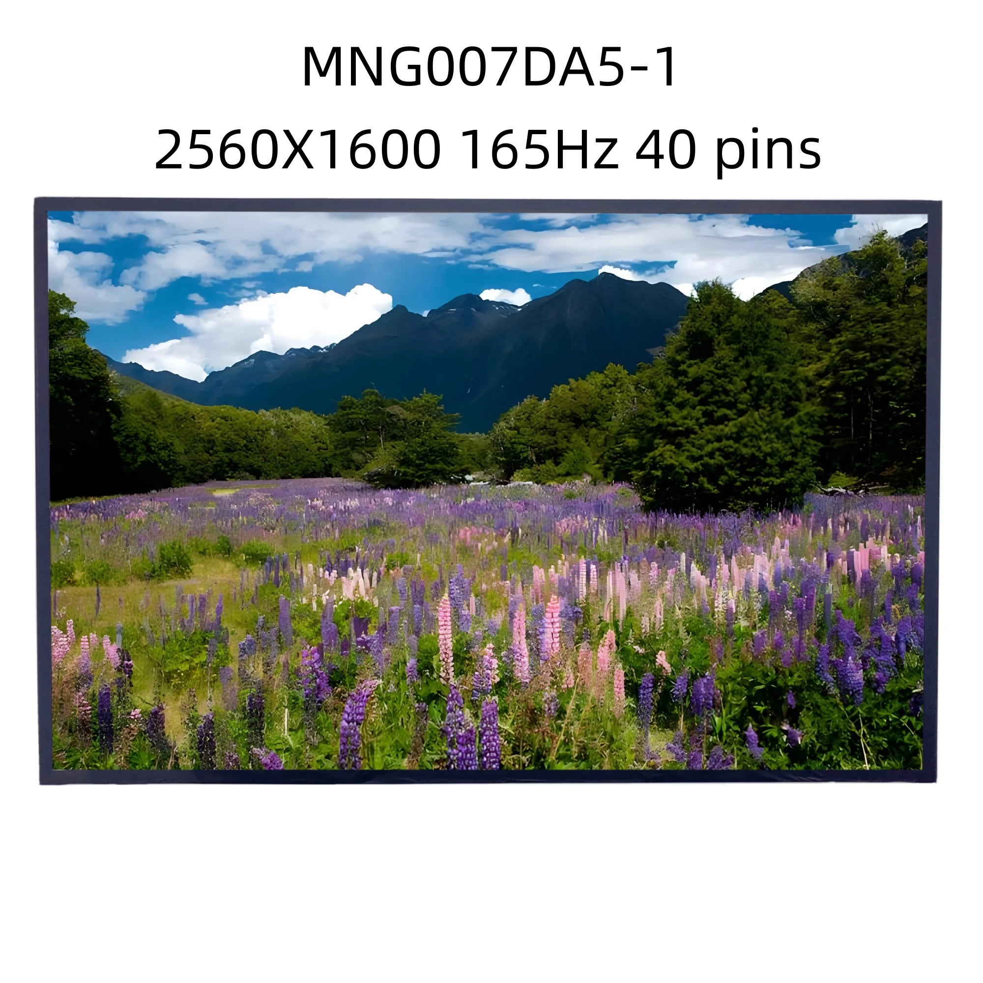 MNG007DA5-1 Replacement IPS 16.0 inch LCD Display Panel EDP Laptop Matrix LED Screen
MNG007DA5-1 Replacement IPS 16.0 inch LCD Display Panel EDP Laptop Matrix LED Screen