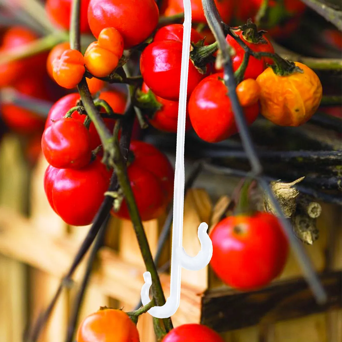 850Pcs Vegetable Vine Hook Tomato Fruit Ear Hook Plant Hanging Supplies for Fixing Vines Controlling Growth Garden
850Pcs Vegetable Vine Hook Tomato Fruit Ear Hook Plant Hanging Supplies for Fixing Vines Controlling Growth Garden