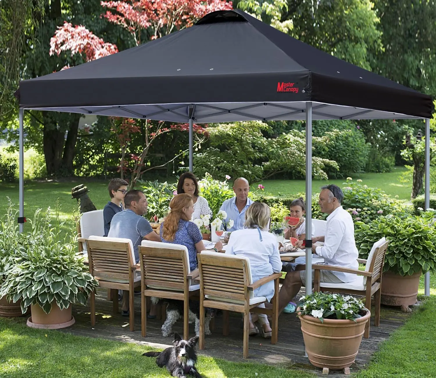 Durable Pop-up Canopy Tent with Roller Bag (10x10, Black)
Durable Pop-up Canopy Tent with Roller Bag (10x10, Black)