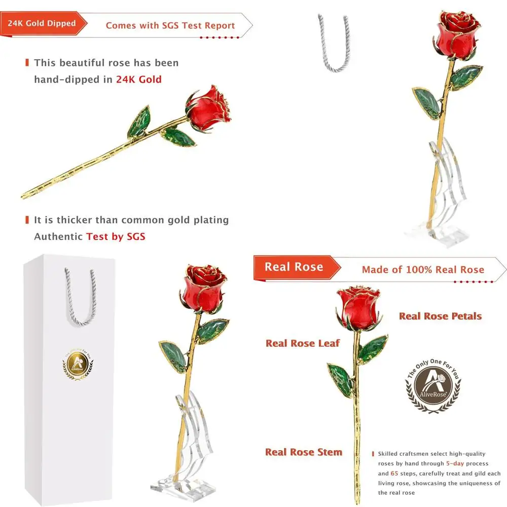24K Gold-Plated Real Rose - Unique Design for Valentine's Day Gift (Red with Stand)
24K Gold-Plated Real Rose - Unique Design for Valentine's Day Gift (Red with Stand)