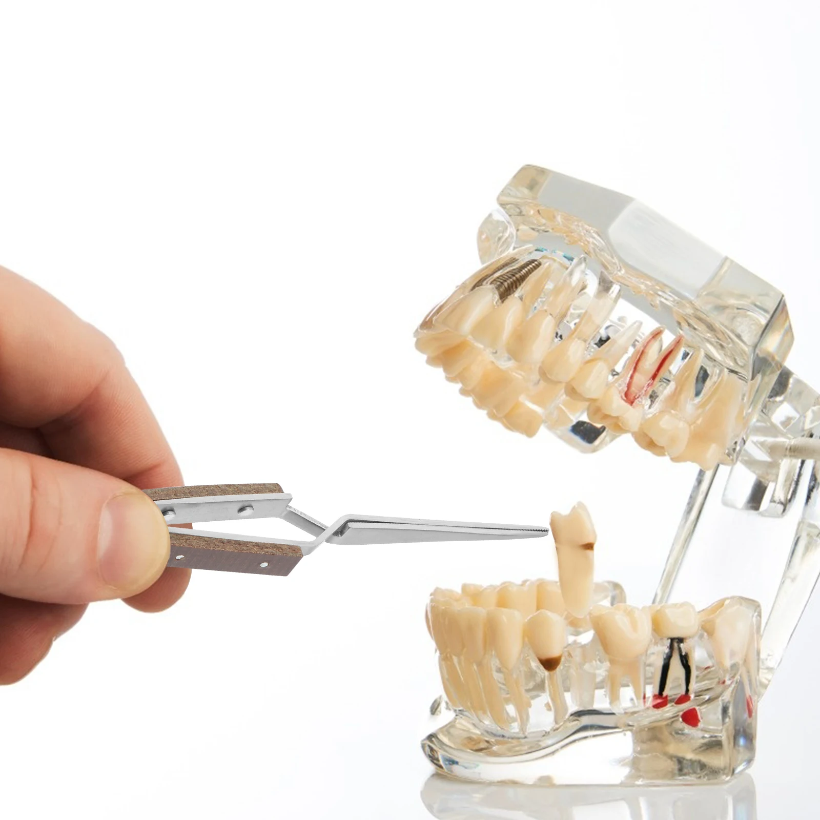 2pcs Insulated Tweezers Soldering Tools Cross Lock Stainless Steel Curved Straight Tips Jewelry Making Electronics
2pcs Insulated Tweezers Soldering Tools Cross Lock Stainless Steel Curved Straight Tips Jewelry Making Electronics