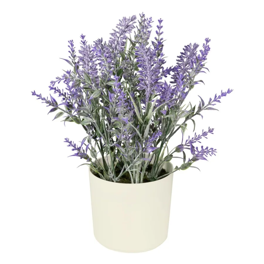 11inch x 4inch Artificial Lavender Plant in White Pot Purple for Indoor Use by Mainstays
11inch x 4inch Artificial Lavender Plant in White Pot Purple for Indoor Use by Mainstays