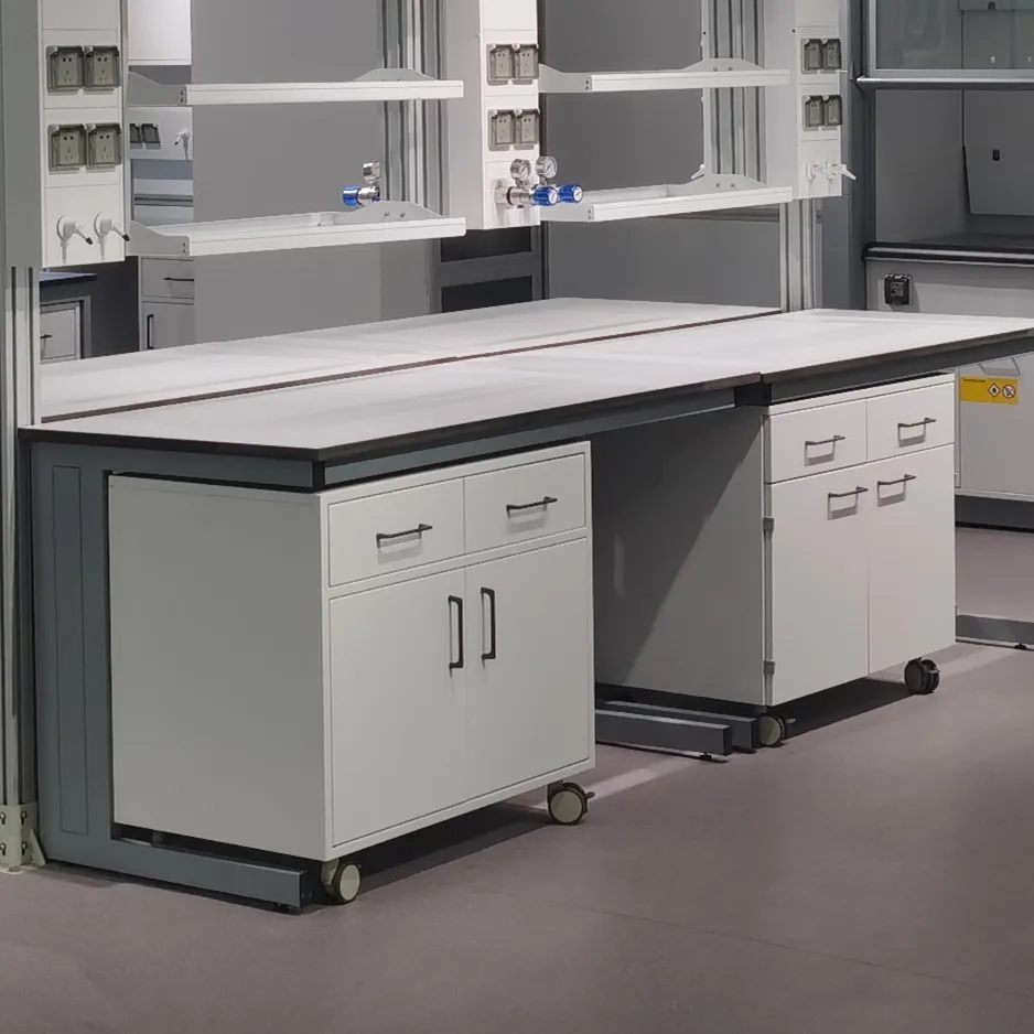 High Quality Acid And Alkali Resistant Industrial Design Laboratory Steel Frame Side Table For Schools Hospitals Laboratories
High Quality Acid And Alkali Resistant Industrial Design Laboratory Steel Frame Side Table For Schools Hospitals Laboratories