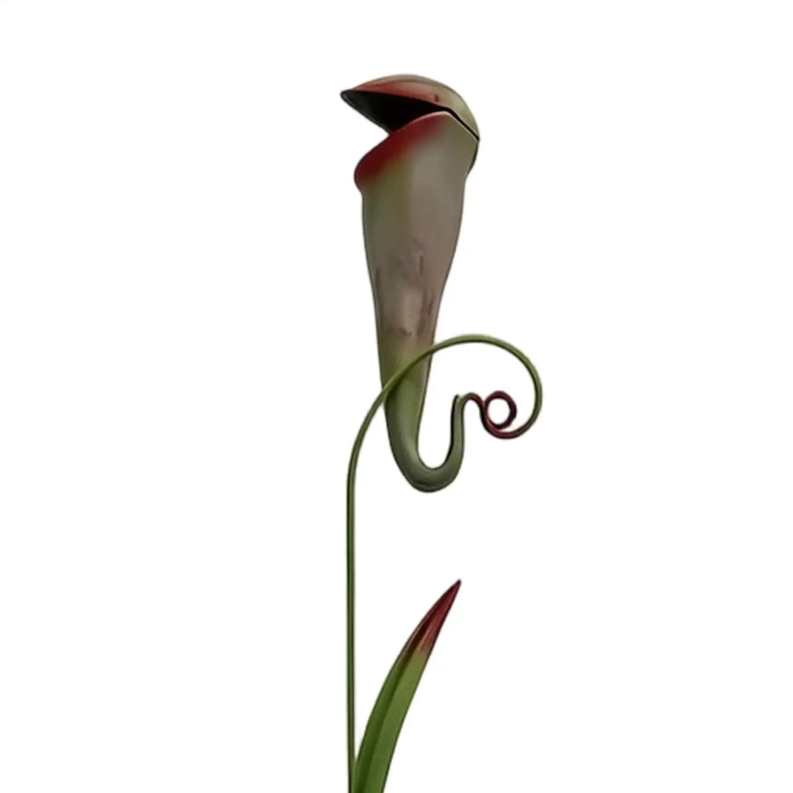 Metal Flower Garden Stakes Whimsical Nepenthes Decorative Funny Patio Flower Stake For Lawn Backyard Patio Landscape Walkway
Metal Flower Garden Stakes Whimsical Nepenthes Decorative Funny Patio Flower Stake For Lawn Backyard Patio Landscape Walkway