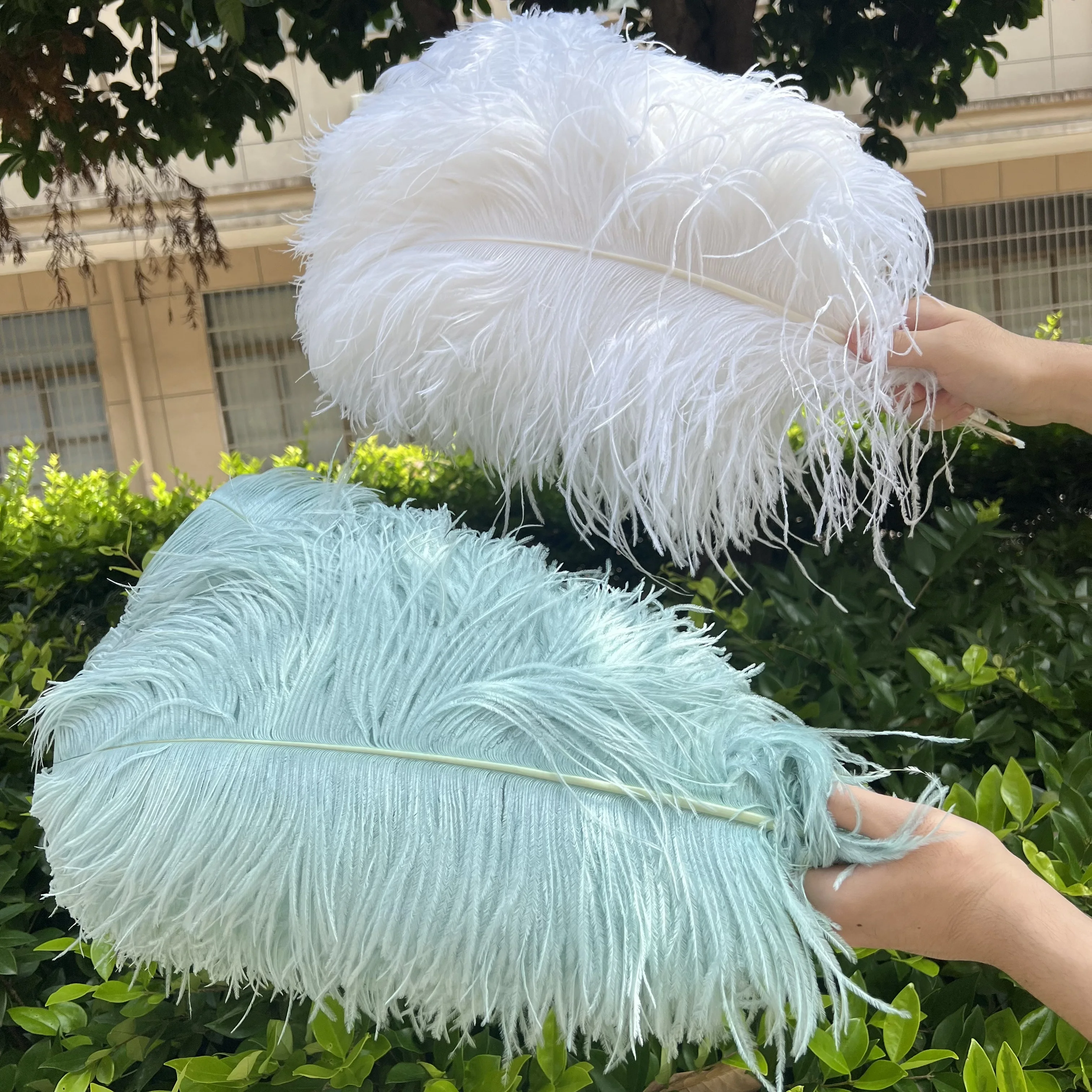 10pcs Natural White Ostrich Feathers for Wedding Party Decoration Real Ostrich Plume Table Centerpieces Accessories 15-40cm
10pcs Natural White Ostrich Feathers for Wedding Party Decoration Real Ostrich Plume Table Centerpieces Accessories 15-40cm
