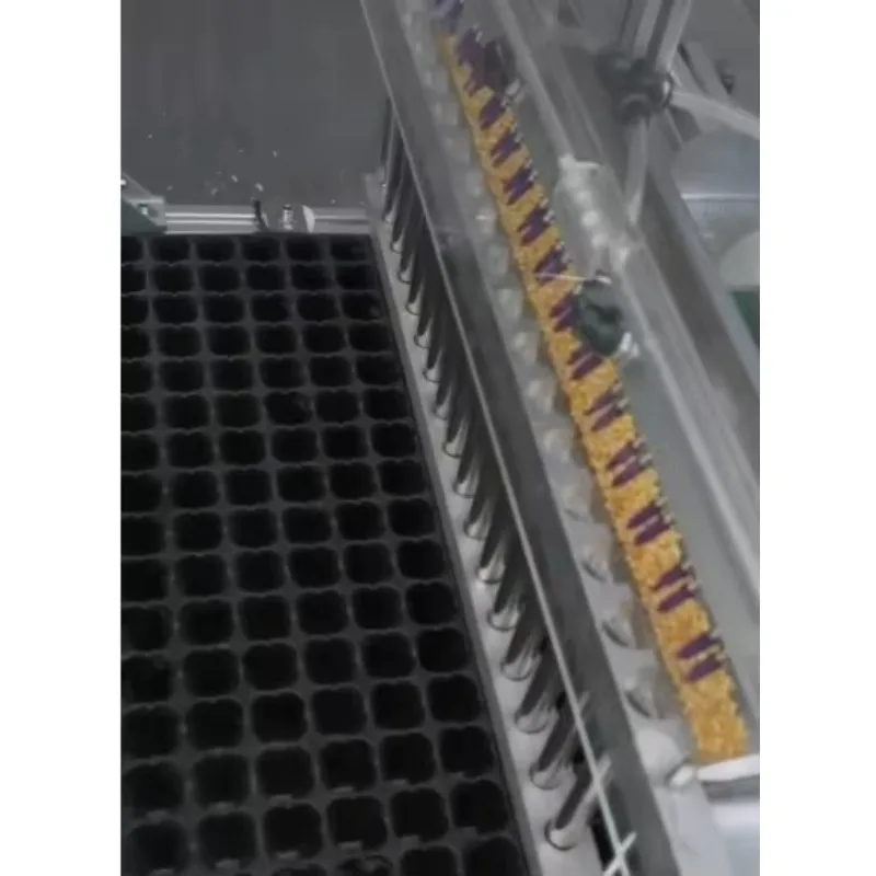 High Producing Semi-Automatic Seeds Sowing Machine for Seedling Plug Tray Seeder
High Producing Semi-Automatic Seeds Sowing Machine for Seedling Plug Tray Seeder