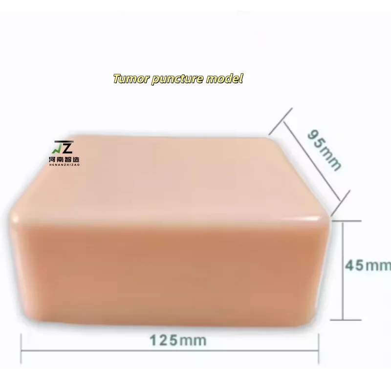 Ultrasound guided puncture model tumor biopsy puncture training and teaching exercise module
Ultrasound guided puncture model tumor biopsy puncture training and teaching exercise module