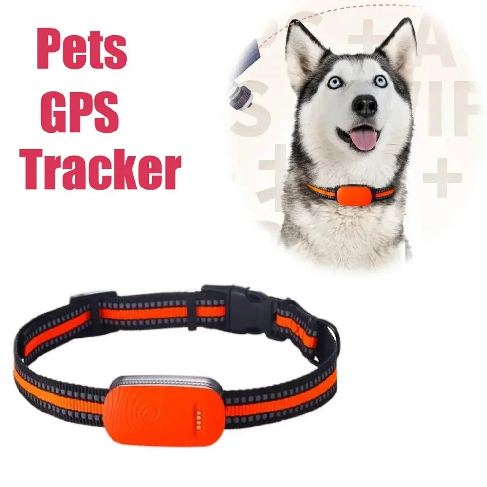 4G Pet Tracker GPS Locator Dog Anti-Lost Locator Waterproof Find Device Remote Control Cat Collar Tracking Device for Dogs Cats
4G Pet Tracker GPS Locator Dog Anti-Lost Locator Waterproof Find Device Remote Control Cat Collar Tracking Device for Dogs Cats
