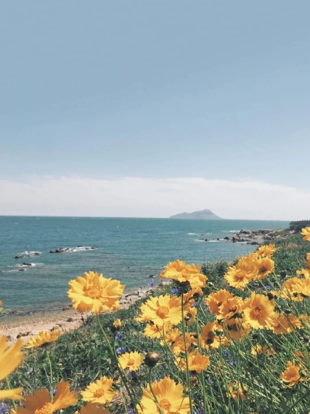 Multimedia Video Android14 For Infiniti Fx35 2003-2007 Car DVD GPS Navigation Auto Radio Stereo Carplay Multifunction Head Unit
Multimedia Video Android14 For Infiniti Fx35 2003-2007 Car DVD GPS Navigation Auto Radio Stereo Carplay Multifunction Head Unit