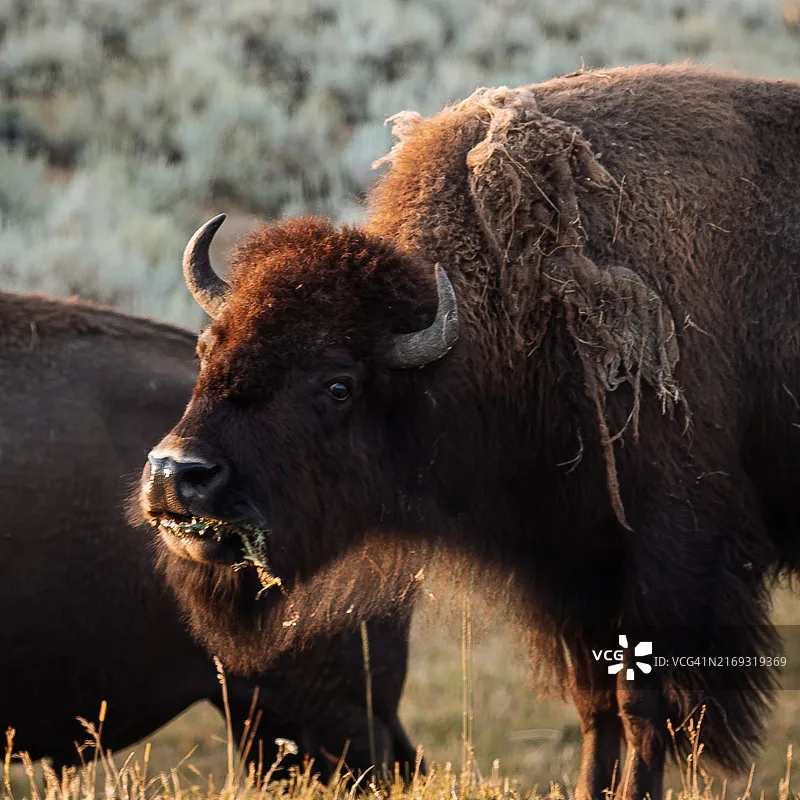 Джойстик-потенциометр SKYDROID для пультов управления T12, T10, SG12, M12PRO, M12L
Джойстик-потенциометр SKYDROID для пультов управления T12, T10, SG12, M12PRO, M12L