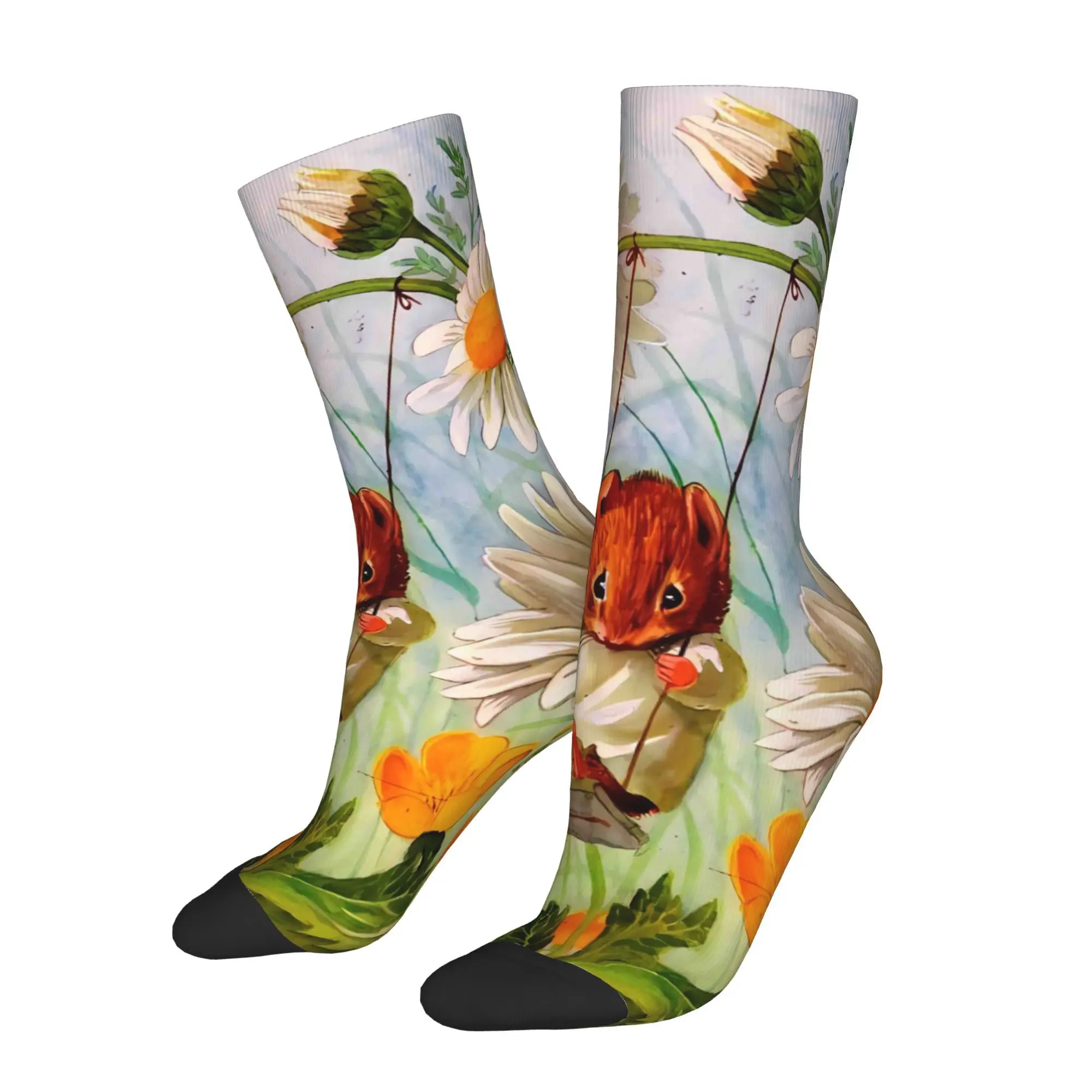 Носки «Белка в дереве», мужские и женские зимние чулки в стиле Харадзюку
Носки «Белка в дереве», мужские и женские зимние чулки в стиле Харадзюку