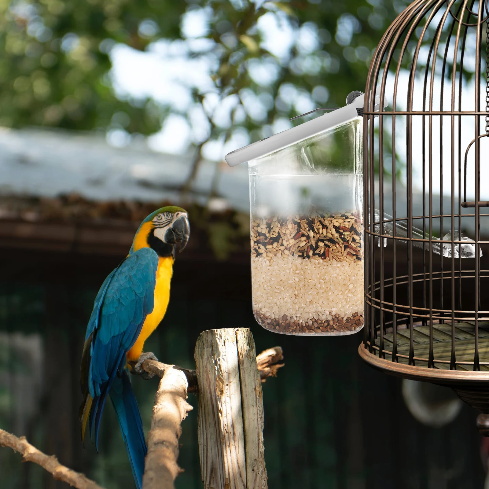 3pcs Hanging Parrot Feeder Plastic Bird Food Container Cage Pet Budgerigar Canary Cockatiel Finch Durable Lightweight Large
3pcs Hanging Parrot Feeder Plastic Bird Food Container Cage Pet Budgerigar Canary Cockatiel Finch Durable Lightweight Large