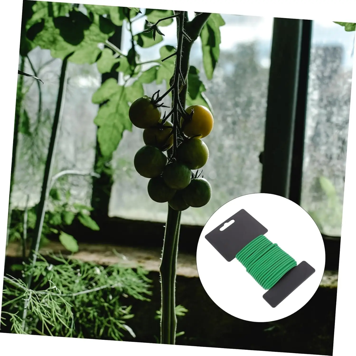 2.5mm*10m Reusable Garden Fixing Tie Plant Cable Heavy Duty Soft Wire Tie Garden Greenhouses Support Plant Organize Supplies
2.5mm*10m Reusable Garden Fixing Tie Plant Cable Heavy Duty Soft Wire Tie Garden Greenhouses Support Plant Organize Supplies