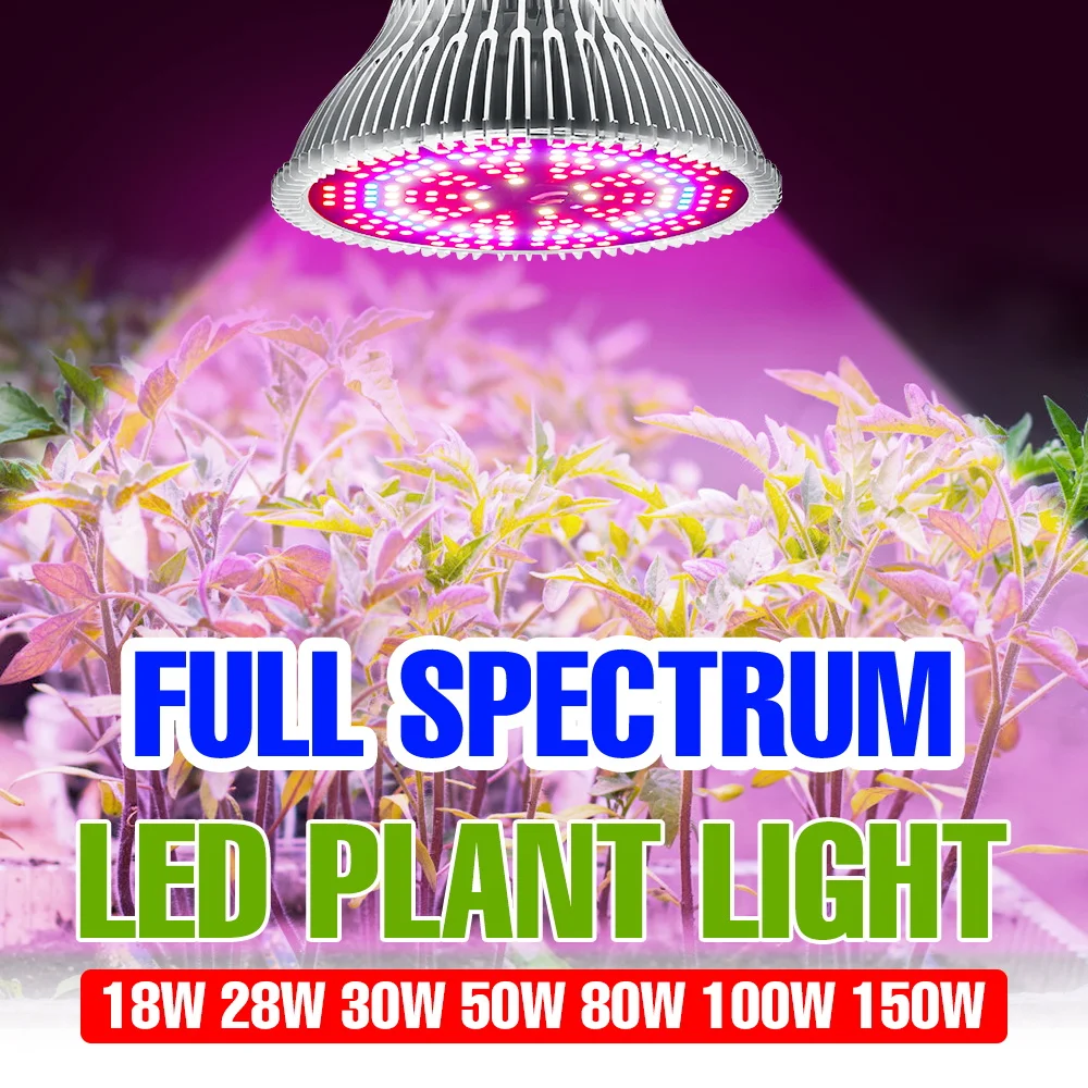 150W E27 Full Spectrum Grow Light Bulb LED Indoor Plant Cultivation Lamp 220V Greenhouse Tent Potted Flower Succulent Lighting
150W E27 Full Spectrum Grow Light Bulb LED Indoor Plant Cultivation Lamp 220V Greenhouse Tent Potted Flower Succulent Lighting