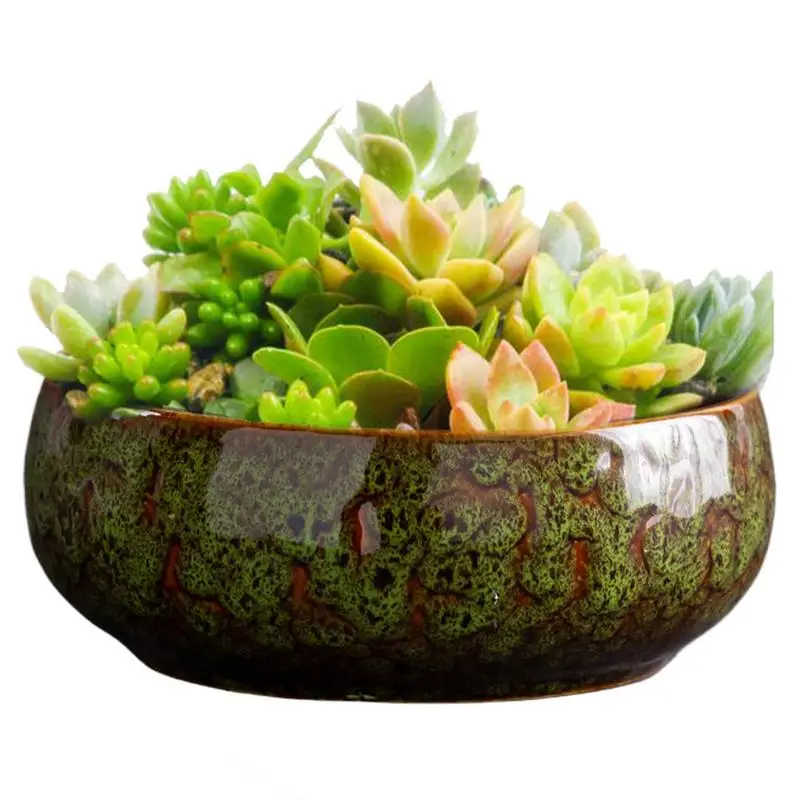 Succulent Bowl Planter Decorative Hydroponic Pot Ceramic Leakproof Spacious Bowl Planter for Indoors and Outdoors Succulents
Succulent Bowl Planter Decorative Hydroponic Pot Ceramic Leakproof Spacious Bowl Planter for Indoors and Outdoors Succulents