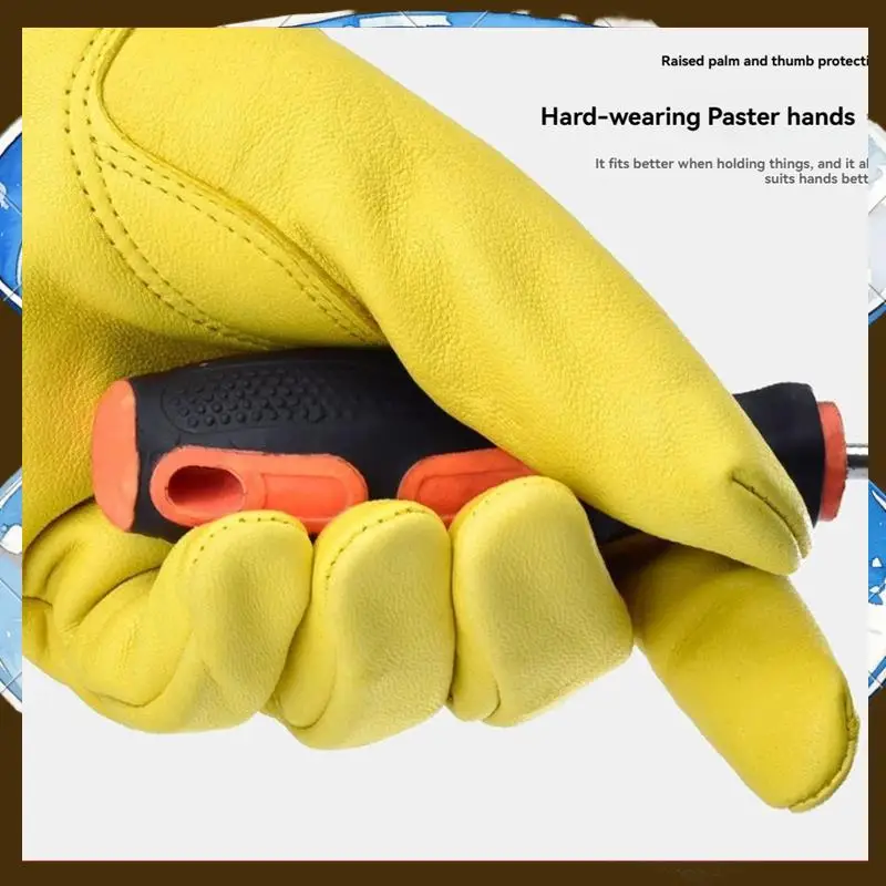 Rose Pruning Gloves For Men And Women Long Thorn Proof Gardening Gloves Breathable Leather Best Garden Gift S-TFBC
Rose Pruning Gloves For Men And Women Long Thorn Proof Gardening Gloves Breathable Leather Best Garden Gift S-TFBC