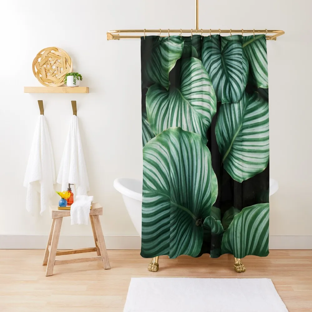 beautiful tropical green plants Shower Curtain Bathroom Box For Bathrooms Window Bathroom Decor Curtain
beautiful tropical green plants Shower Curtain Bathroom Box For Bathrooms Window Bathroom Decor Curtain