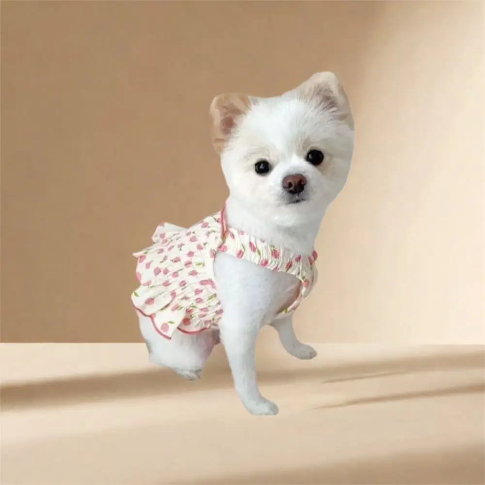 Pet Supplies Cute Pet Summer Clothes Floral Print Breathable Pet Princess Dresses Soft Thin Design Dog Vest Skirt Kittens
Pet Supplies Cute Pet Summer Clothes Floral Print Breathable Pet Princess Dresses Soft Thin Design Dog Vest Skirt Kittens