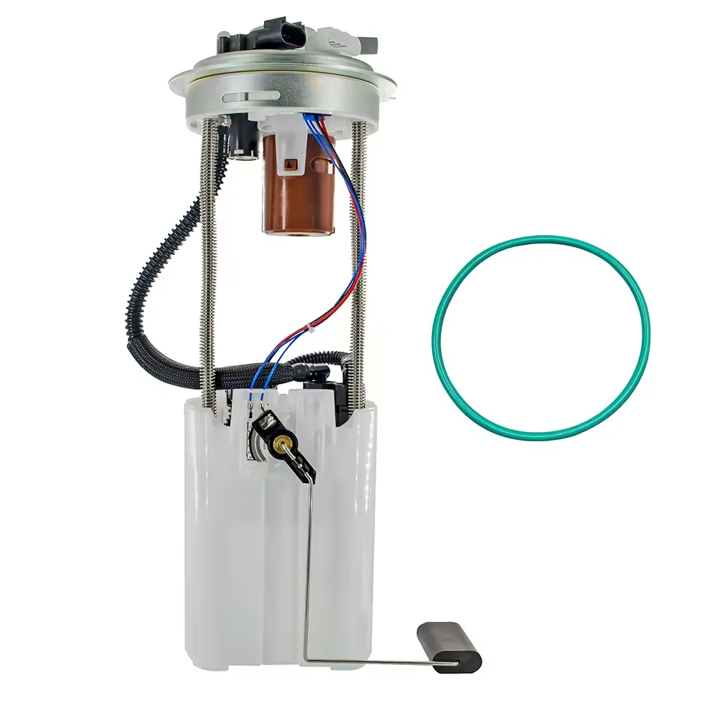 Fuel Pump Assembly E4005M 19256054 19256389 19257093 Mu1949 Mu2142 F00E194 P77036M for Chevrolet Gmc Sierra 1500
Fuel Pump Assembly E4005M 19256054 19256389 19257093 Mu1949 Mu2142 F00E194 P77036M for Chevrolet Gmc Sierra 1500
