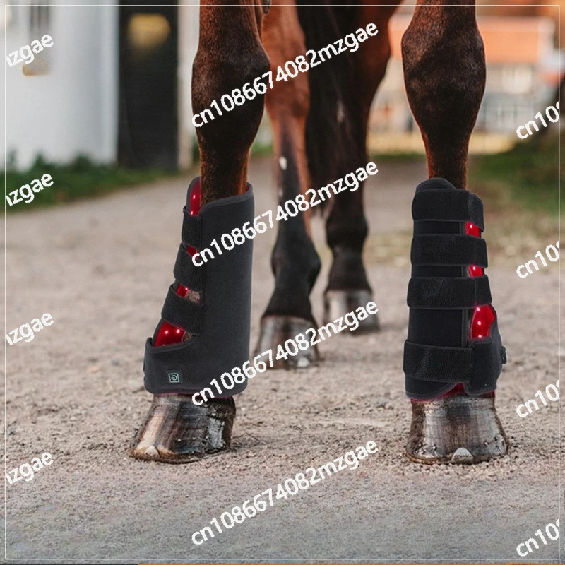 Harness Leggings Pet Muscle Strain Mouth Horse Leg Tools
Harness Leggings Pet Muscle Strain Mouth Horse Leg Tools