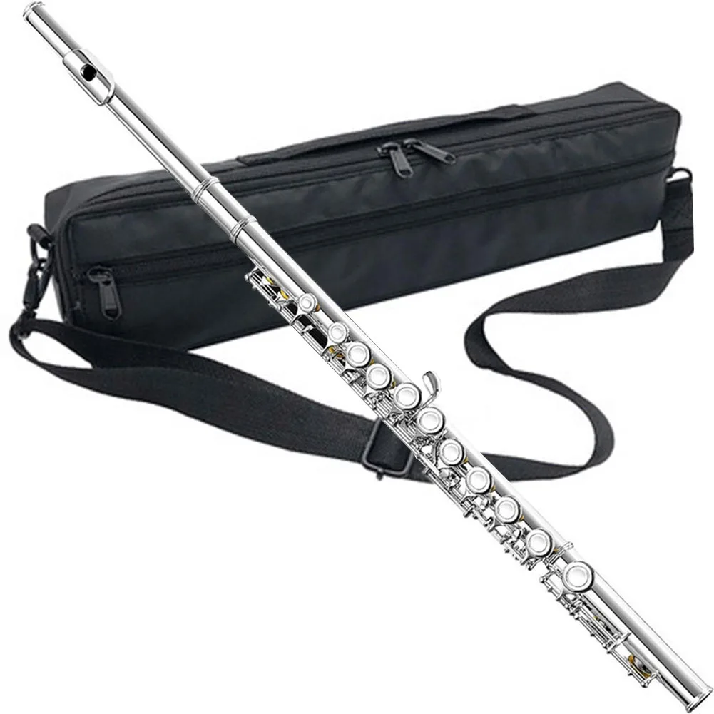 Flute Storage Case 16 17 Holes Flute Carrying Bag Soft Lining Padded With Adjustable Shoulder Strap Black Flute Bag
Flute Storage Case 16 17 Holes Flute Carrying Bag Soft Lining Padded With Adjustable Shoulder Strap Black Flute Bag