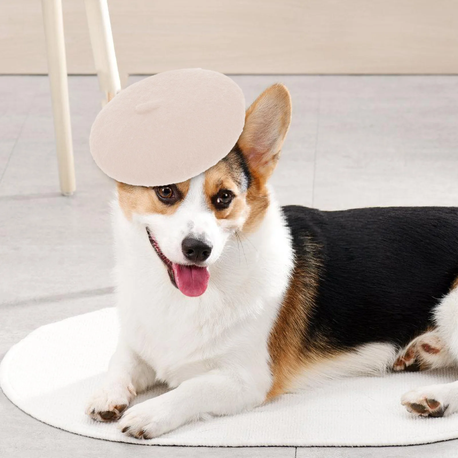 Pet Headwear Cat Hat Birthday Party Supplies White Color Pet Hat Accessory Photo Prop Comfortable Cartoon Beret Cap
Pet Headwear Cat Hat Birthday Party Supplies White Color Pet Hat Accessory Photo Prop Comfortable Cartoon Beret Cap