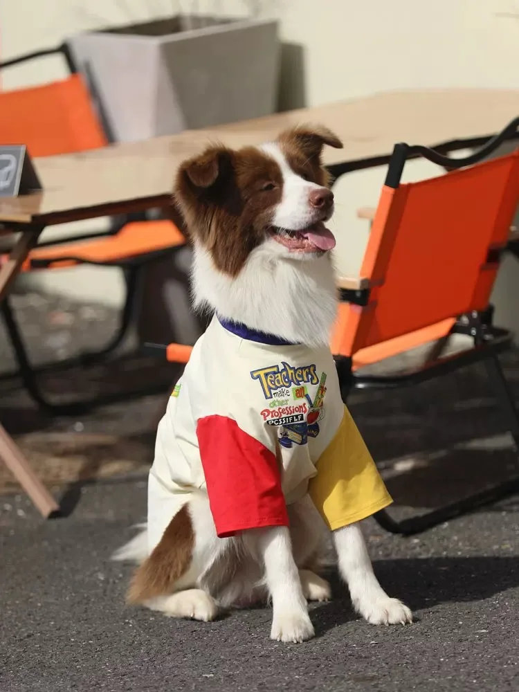 Dog T-shirt Fun Printed Pet Clothing Border Collie UPF50+Sunscreen Machine Washable Summer Medium Large Dog Clothing
Dog T-shirt Fun Printed Pet Clothing Border Collie UPF50+Sunscreen Machine Washable Summer Medium Large Dog Clothing