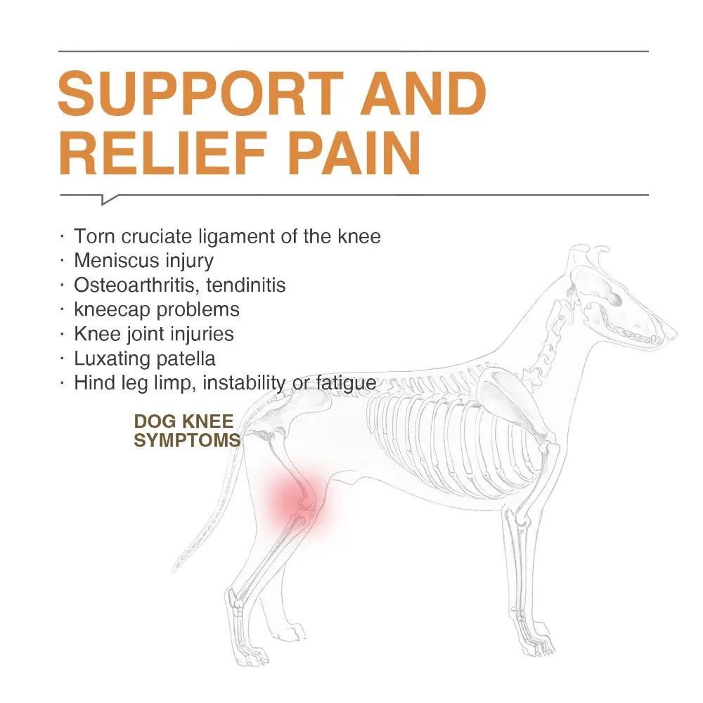 Reduces Pain Hind Leg Dog Leg Brace Dog Leg Protectors Auxiliary Belt Dog ACL Brace Support Dog Knee Rehabilitation Belt
Reduces Pain Hind Leg Dog Leg Brace Dog Leg Protectors Auxiliary Belt Dog ACL Brace Support Dog Knee Rehabilitation Belt