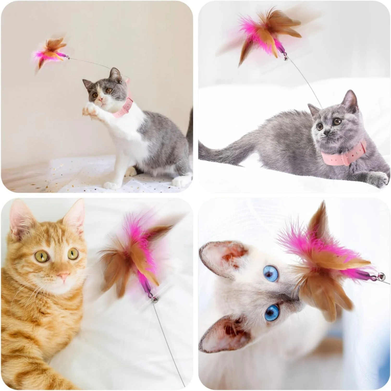 High-Quality and Durable Materials Guarantee Endless Entertainment for You and Your Product, Ensure Long-Lasting Fun and Enjoyme
High-Quality and Durable Materials Guarantee Endless Entertainment for You and Your Product, Ensure Long-Lasting Fun and Enjoyme