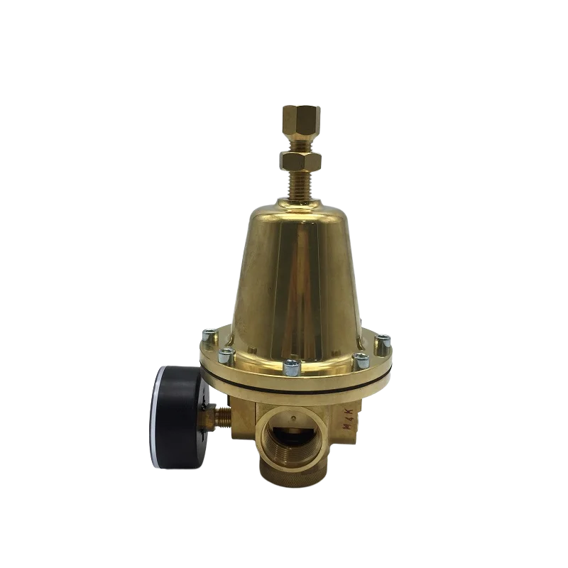 EWO Original 280.395 1inch 40bar Brass High Pressure Regulator
EWO Original 280.395 1inch 40bar Brass High Pressure Regulator