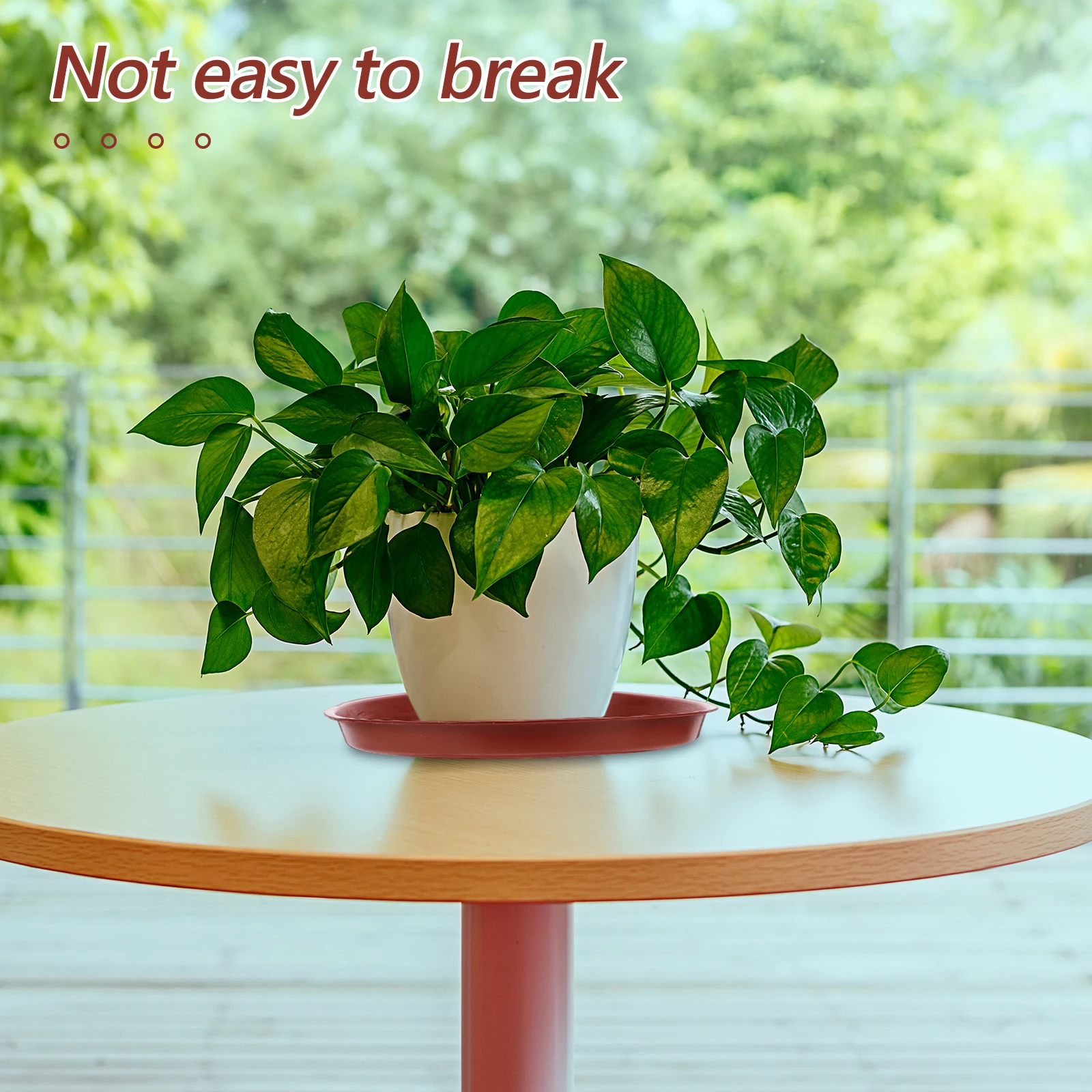 20PCS Plastic Flower Pot Trays Durable Sturdy Anti Slip Bottom Protect Surfaces Catch Water Plant Pots Saucers Balcony Drip
20PCS Plastic Flower Pot Trays Durable Sturdy Anti Slip Bottom Protect Surfaces Catch Water Plant Pots Saucers Balcony Drip