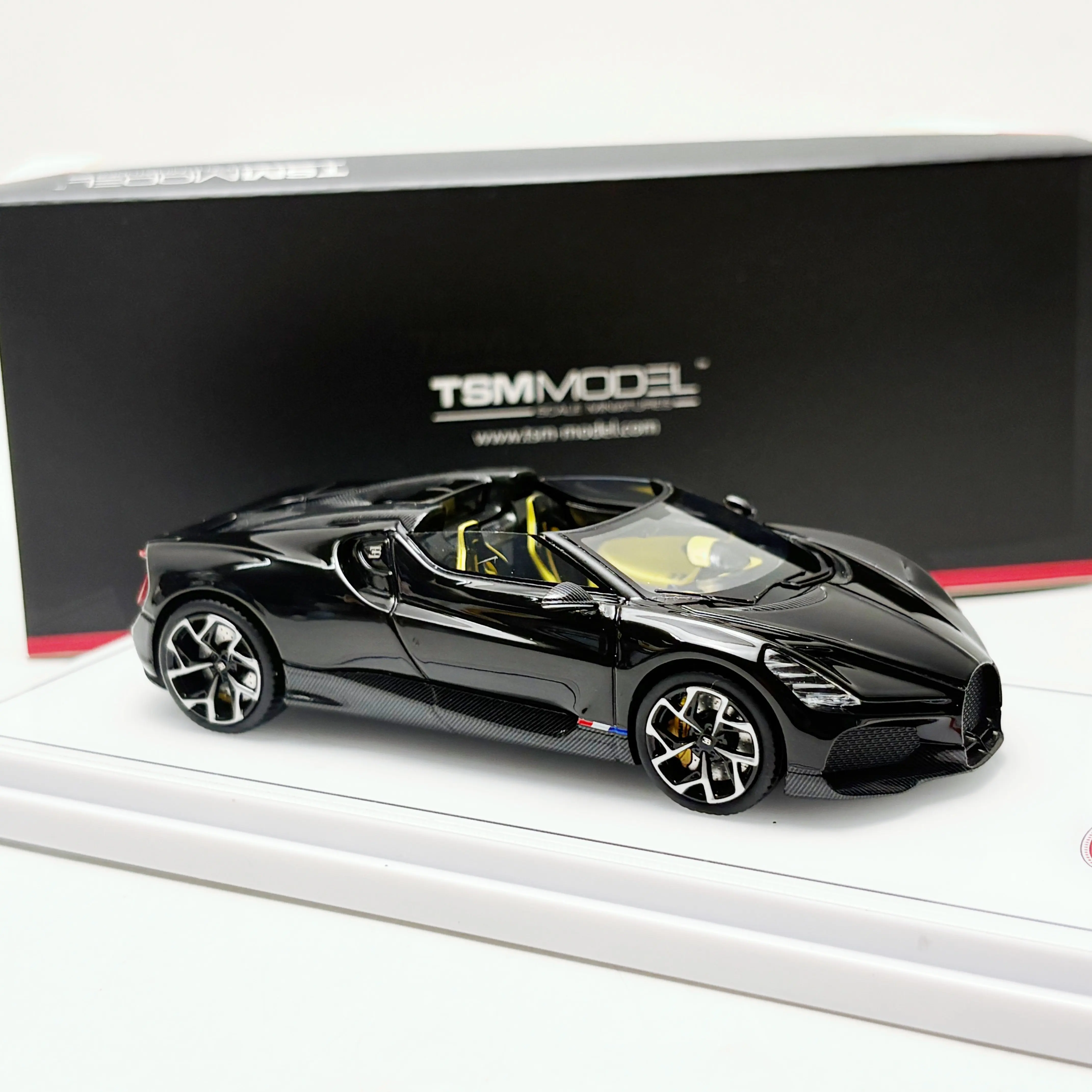TSM 1/43 Scale Bugatti W16 Mistral Resin Car Model
TSM 1/43 Scale Bugatti W16 Mistral Resin Car Model
