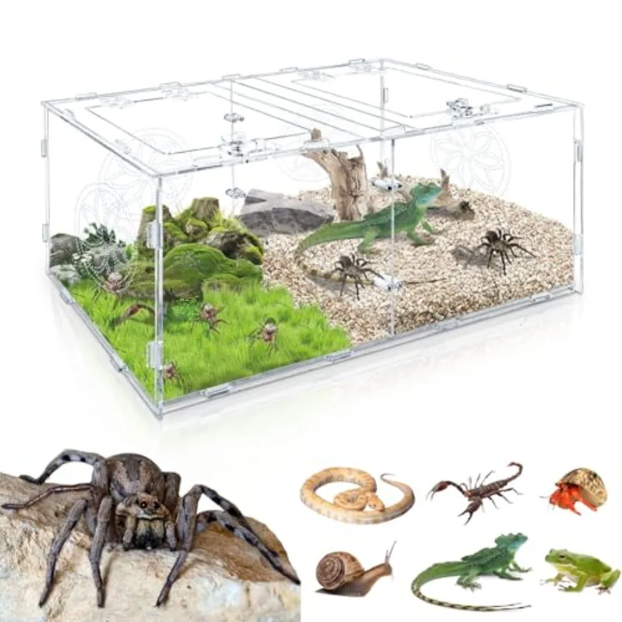 Large Jumping Spider Enclosure 15.75*7.87*9.84in Acrylic Tarantula Enclosure Reptile Enclosure for Small Tree Dwelling Reptiles
Large Jumping Spider Enclosure 15.75*7.87*9.84in Acrylic Tarantula Enclosure Reptile Enclosure for Small Tree Dwelling Reptiles