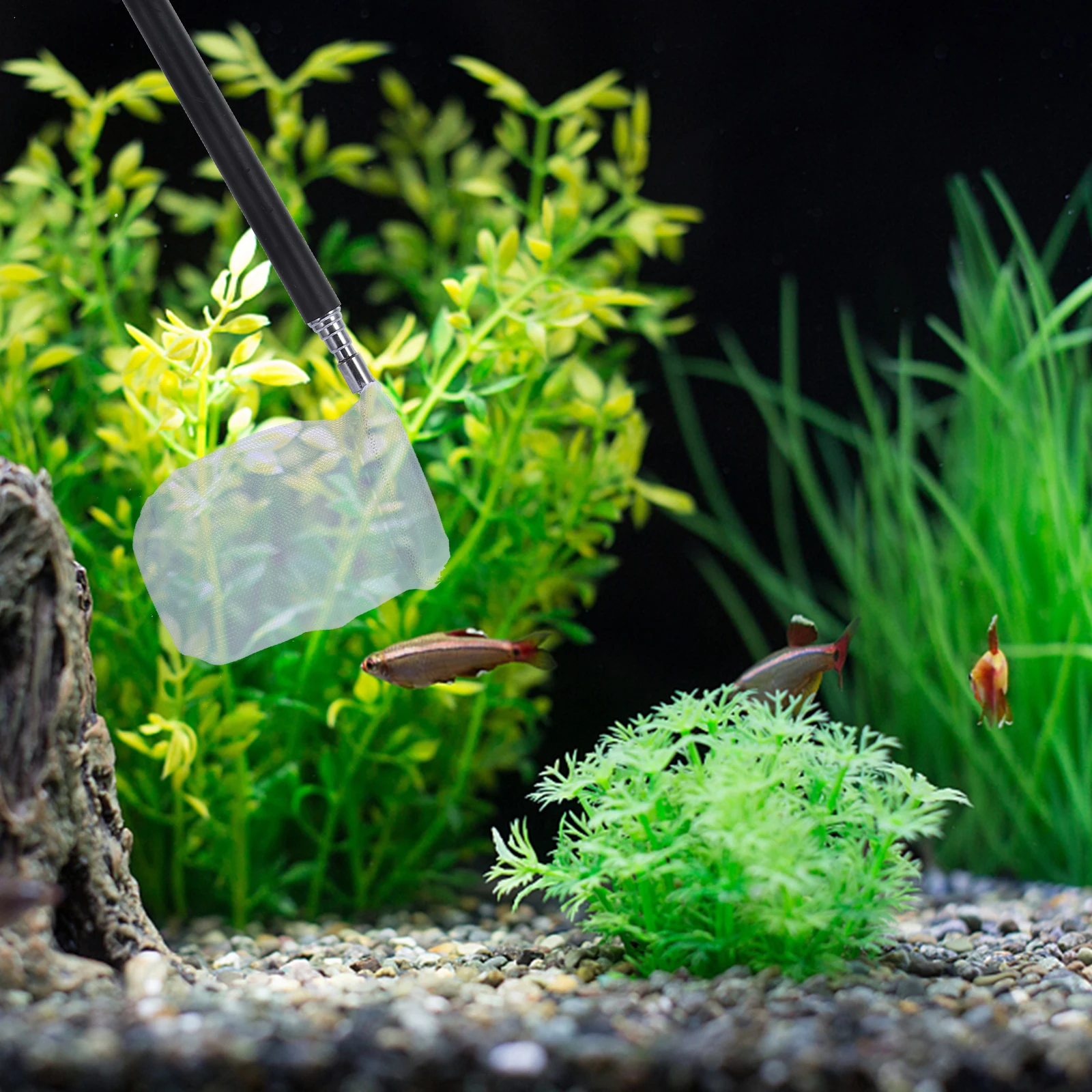 2PCS Shrimp Fishing Portable Catch Release Fish Tank Tool Fine Mesh Crystal Kids Play Foldable Fish Friendly
2PCS Shrimp Fishing Portable Catch Release Fish Tank Tool Fine Mesh Crystal Kids Play Foldable Fish Friendly