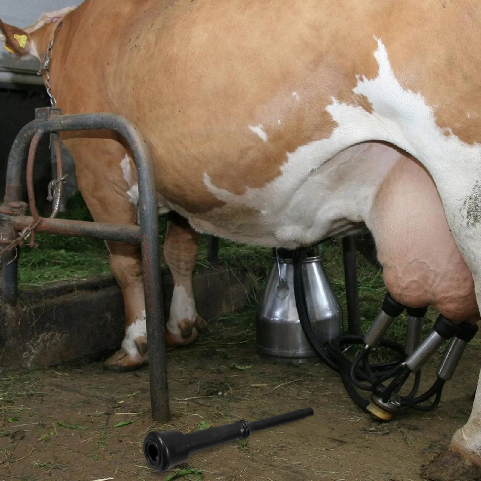 Milking Machine Liner Rubber Triangular Milk Liner Inner Sleeve Efficient Comfortable Milking Machine Liners Replacement Parts
Milking Machine Liner Rubber Triangular Milk Liner Inner Sleeve Efficient Comfortable Milking Machine Liners Replacement Parts