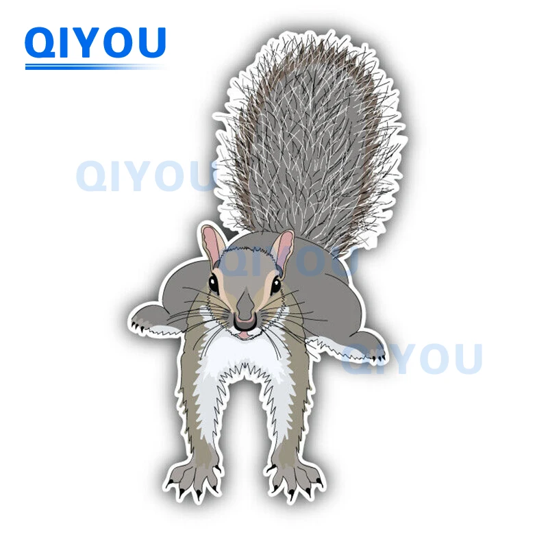 Personalized Body Decoration Squirrel Animals Car Stickers Die-cut PVC Decal Used for Car Body Windshield Pull Rod Boxes
Personalized Body Decoration Squirrel Animals Car Stickers Die-cut PVC Decal Used for Car Body Windshield Pull Rod Boxes