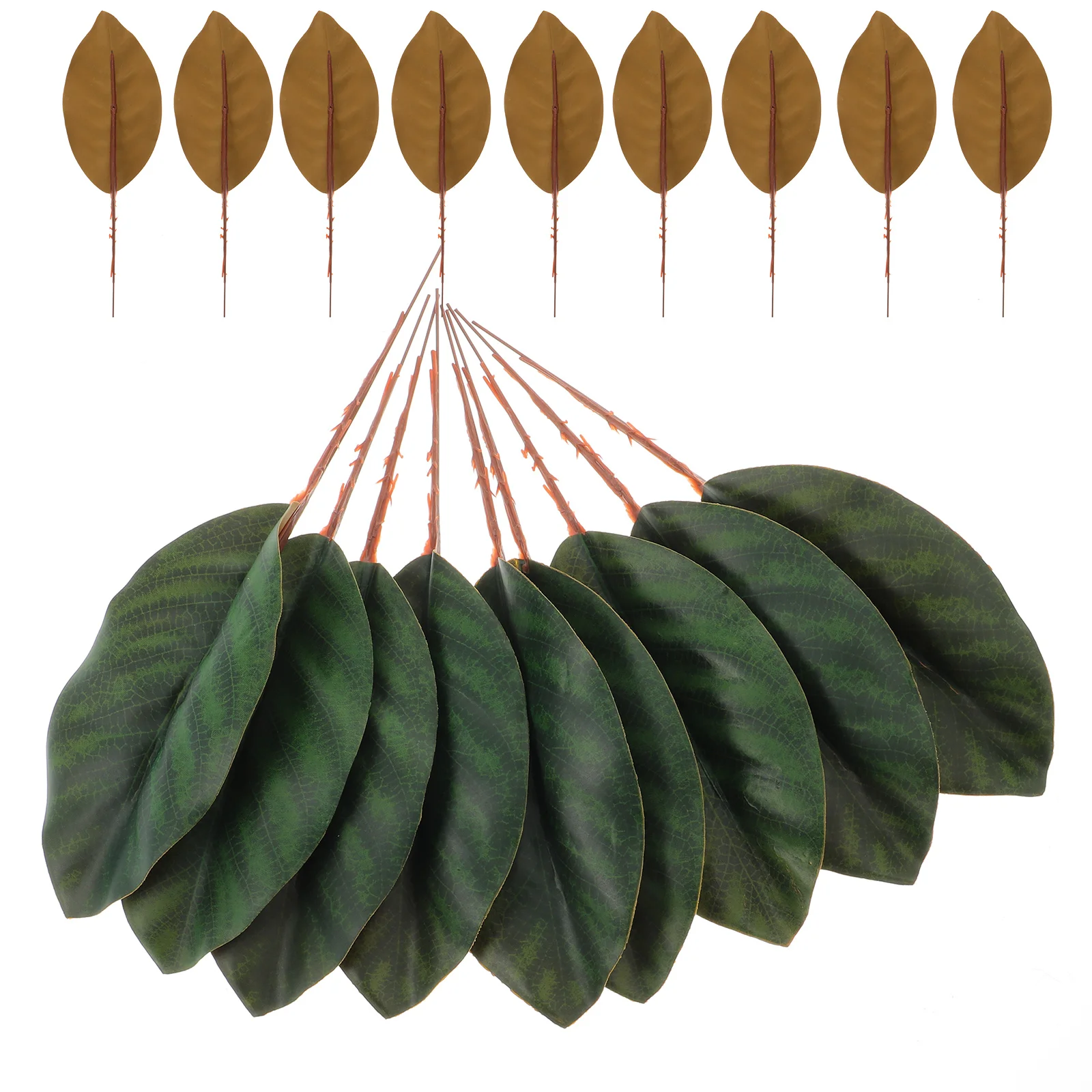 30Pcs Fake Magnolia Leaves Artificial Leaf Decor Lifelike Greenery for Wedding Table Home Party DIY Craft Arrangement 
30Pcs Fake Magnolia Leaves Artificial Leaf Decor Lifelike Greenery for Wedding Table Home Party DIY Craft Arrangement