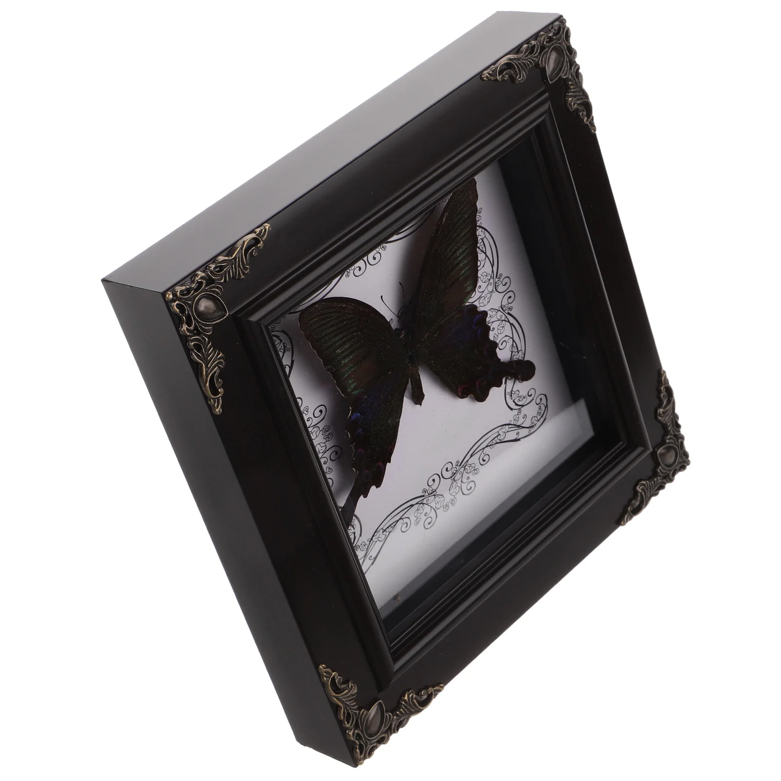Picture Frames Butterfly Specimen Photo Collection Framed Table Black Desk Ornaments
Picture Frames Butterfly Specimen Photo Collection Framed Table Black Desk Ornaments