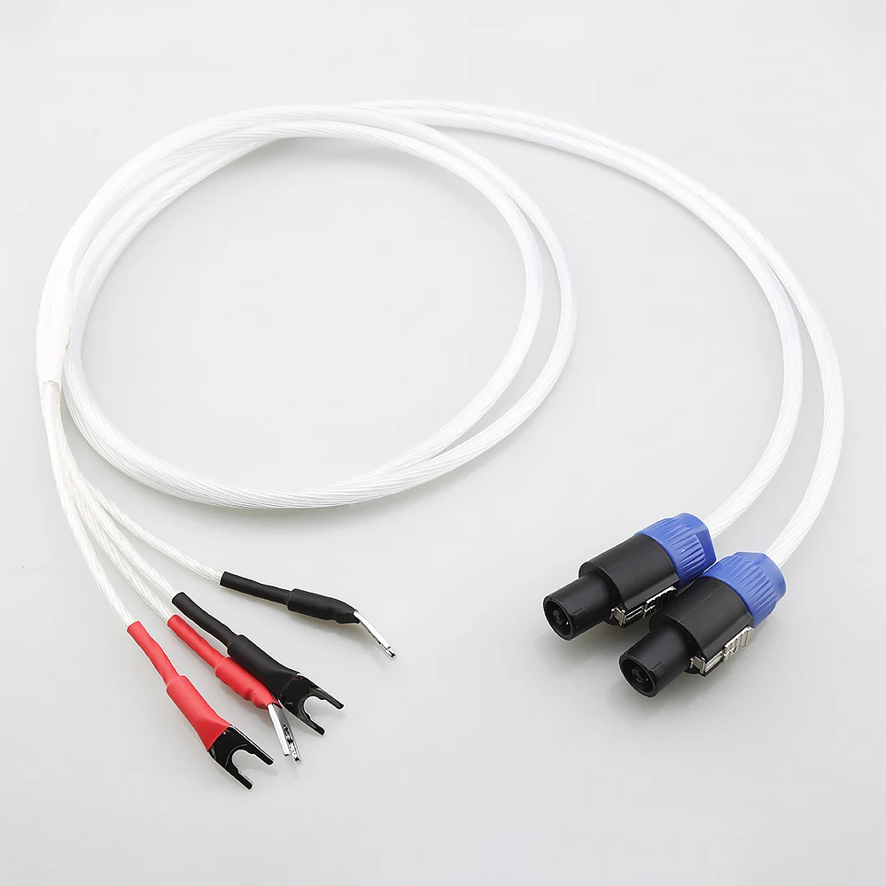 Пара посеребренных кабелей HIFI Audiocrast с размытым Y-образным кабелем для акустики REL/MJ
Пара посеребренных кабелей HIFI Audiocrast с размытым Y-образным кабелем для акустики REL/MJ