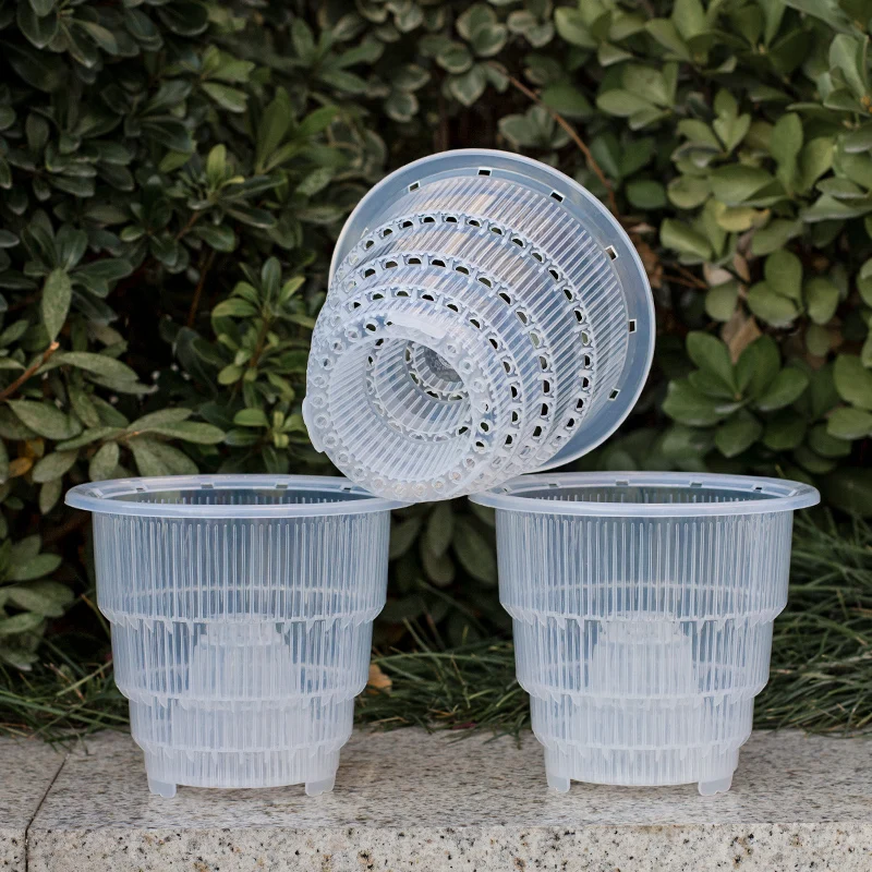 Meshpot 3 Pack Clear Orchid Pots with Holes Orchid Planter for Repotting Small Plastic Flower Pots for Cattleya Phaalenopsis
Meshpot 3 Pack Clear Orchid Pots with Holes Orchid Planter for Repotting Small Plastic Flower Pots for Cattleya Phaalenopsis