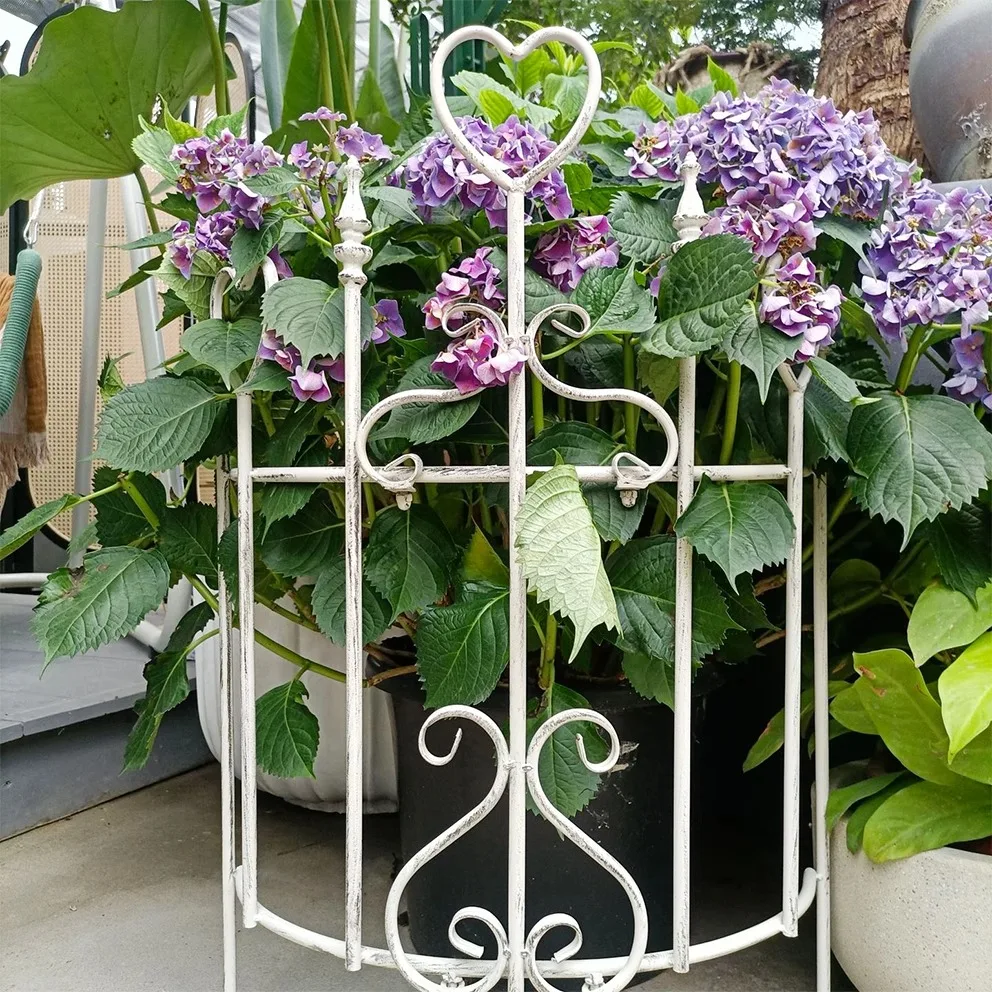 *European Style Arc Decorative Wrought Iron Railing Retro Bracket for Outdoor Courtyard Balcony Climbing Plants Fence Trellis
*European Style Arc Decorative Wrought Iron Railing Retro Bracket for Outdoor Courtyard Balcony Climbing Plants Fence Trellis